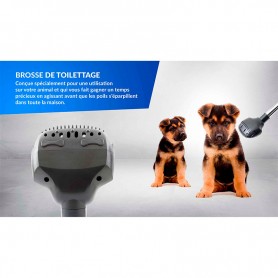 SET DE 2 BROSSES UNIVERSELLES PET MODELE BP2 DE HARPER